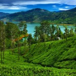 Ceylon-Tea-Trails-Hatton-Sri-Lanka-summerville-bungalow-hiking-the-tea-trails-view-near-top